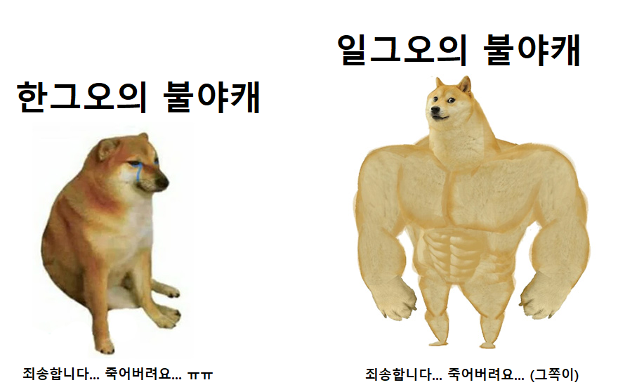 불야캐.png