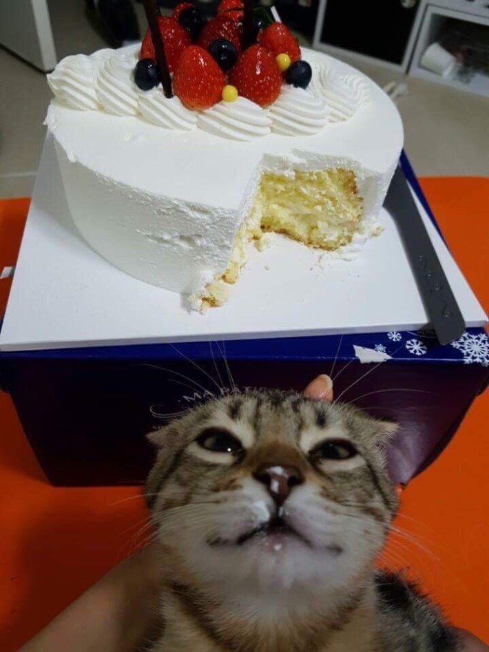 아 박친다_1.jpeg