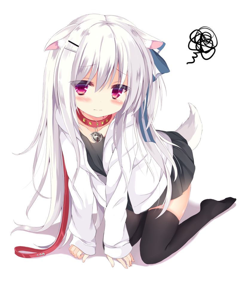 모닝글로리.jpg_3.png