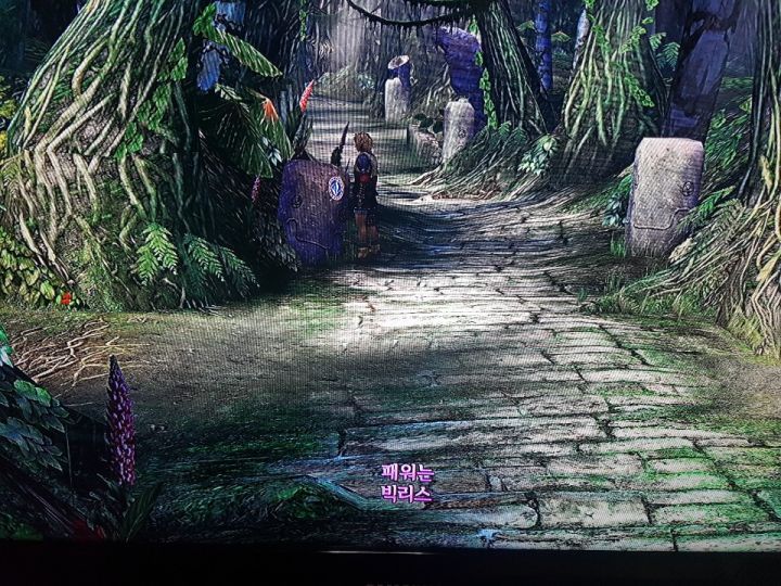 FF10 비공정 패스워드 가이드 [스압]_2.jpg