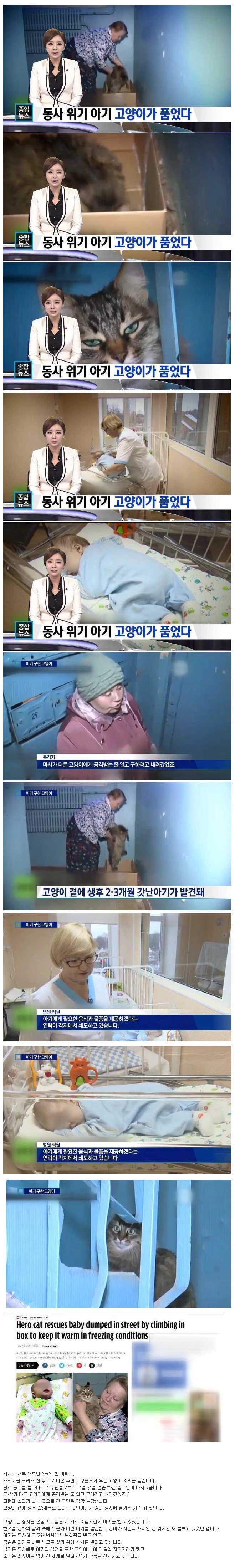 아기 구한 고양이.jpg_1.jpg