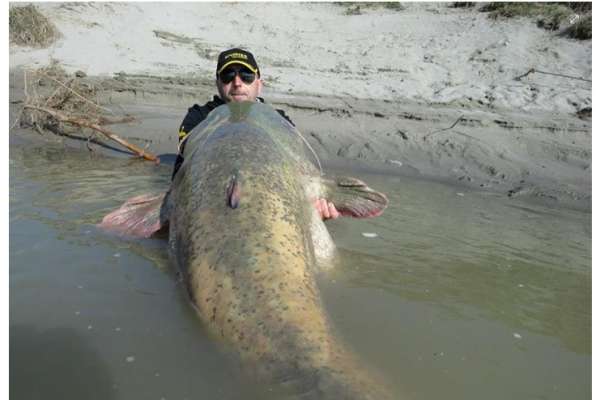 거대 웰스 메기를 잡았어요!_3.jpg