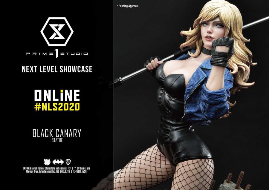 11_black-canary_v2.jpg