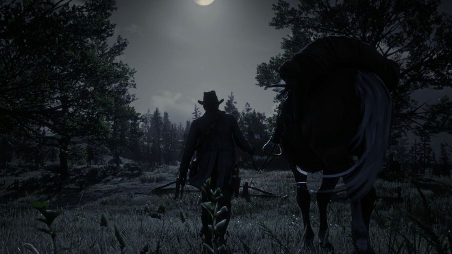 Red Dead Redemption 2 2020-10-11 오전 2_56_06.png