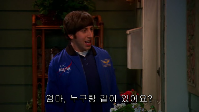 The.Big.Bang.Theory.S06E04.HDTV.XviD-AFG.avi_000792796.png