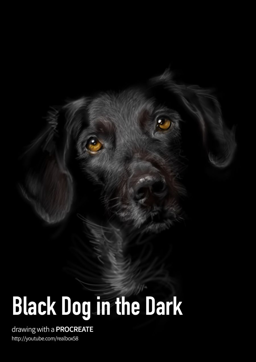 black_dog_1.jpg