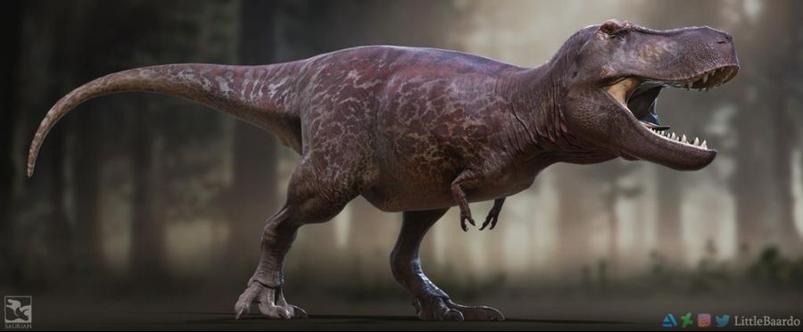 tyrannosaurus_rex___saurian_by_littlebaardo_dcoqdv6-fullview.jpg