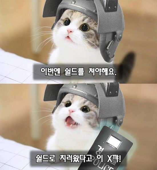 와ㅋㅋ 나 이 상황에도 싸펑에 혼신의 쉴드치는 사람 봤음ㅋㅋ_1.jpeg