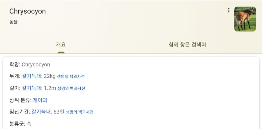 여우야? 늑대야? 개야?.gif_1.jpg