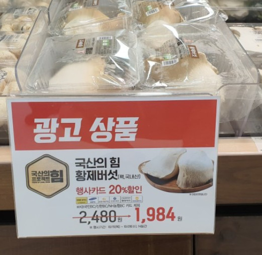 황제버섯 크기 | 유머 게시판 | 루리웹