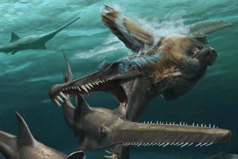 spinosaurus-swimming.jpg
