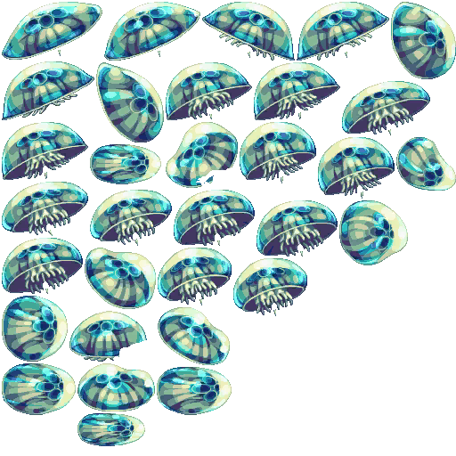 Elle_JellyFish.img_0.png