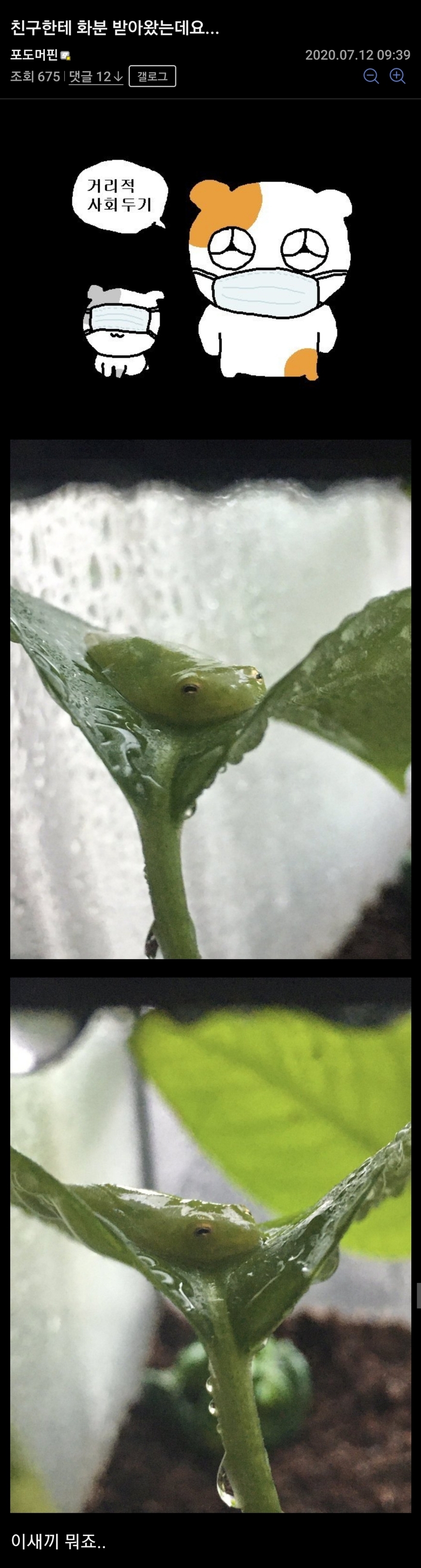 자연을 사랑하는 식물갤 특_1.jpg