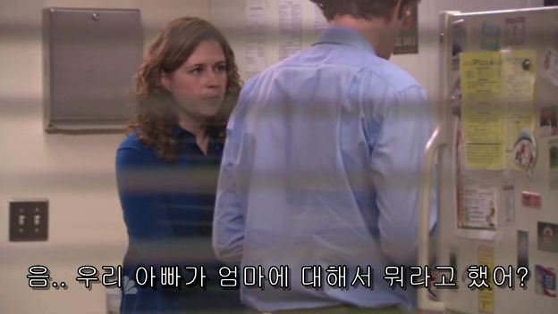 The.Office.S05E13.PROPER.HDTV.XviD-2HD.avi_001103914.png