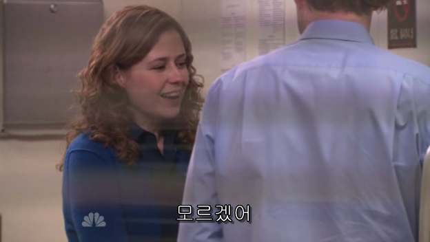 The.Office.S05E13.PROPER.HDTV.XviD-2HD.avi_001112719.png