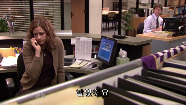 The.Office.S05E13.PROPER.HDTV.XviD-2HD.avi_002168531.png