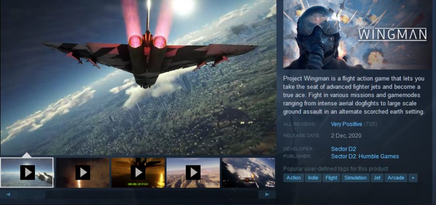 Screenshot_2020-12-03 Project Wingman on Steam.png