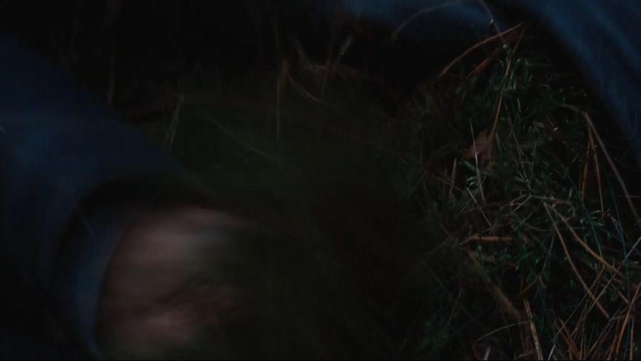 Inglourious Basterds (2009) (1080p BluRay x265 10bit Tigole)==27315411__.mkv_20201209_013434.917.jpg