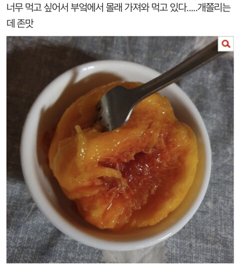 복숭아 한조각이 무서운 이유_2.jpg