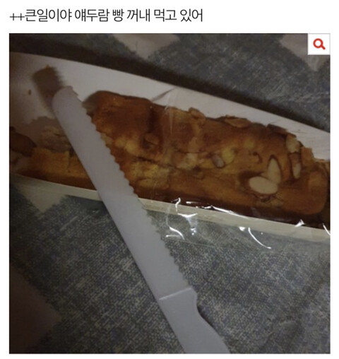 복숭아 한조각이 무서운 이유_4.jpg