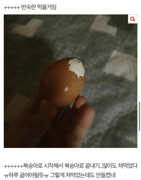 복숭아 한조각이 무서운 이유_8.jpg