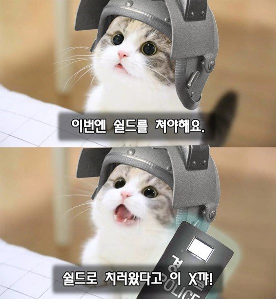 쉴드쳐.jpg