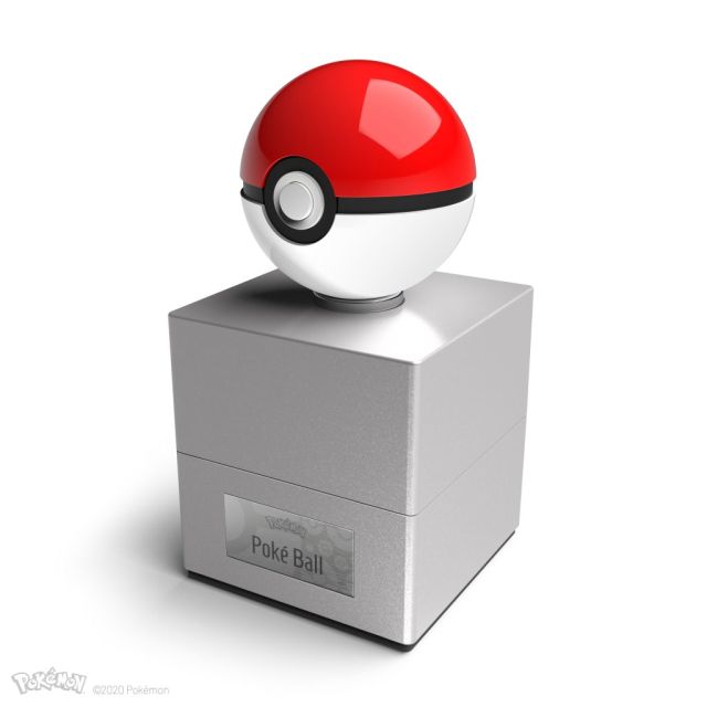 Poké-Ball-on-ring-on-case-3388px-1024x1024.jpg