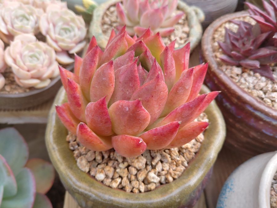 겨울철에는 물이 들어서 좋아요._3.jpg