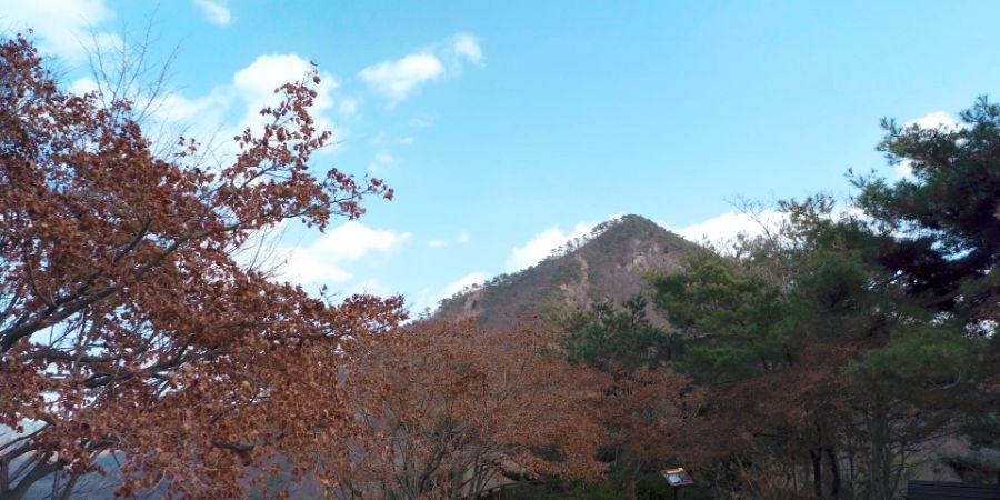 2020.12.25_VLog_JangTae Mountain.mp4_001209.810.jpg