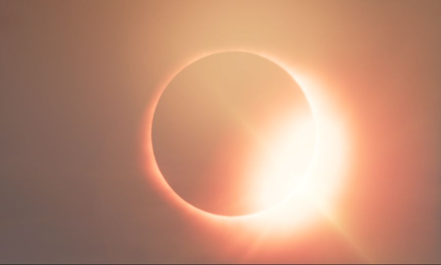 정글과 일심동체 완료_3.png