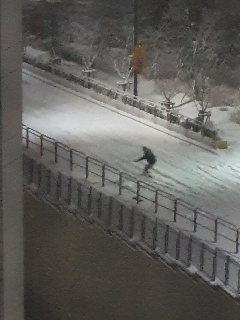 어제자 폭설때 나타난 피해자들 . JPGIF_3.jpeg