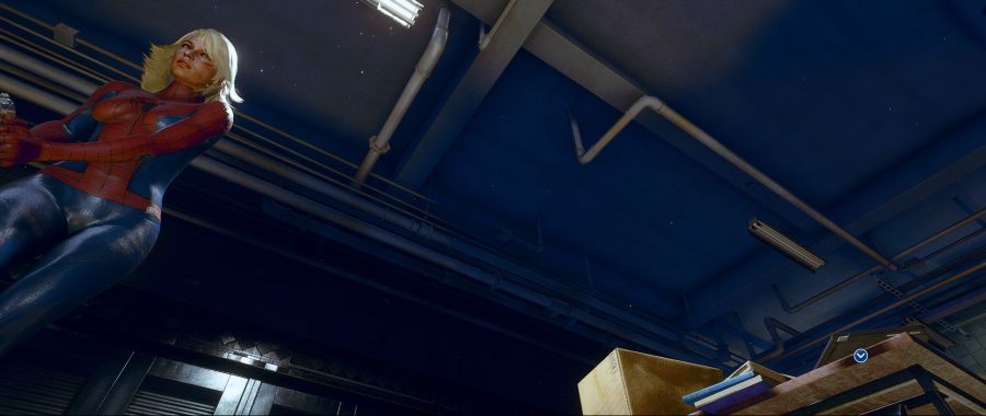 스파이더 질.jpg_1.jpg