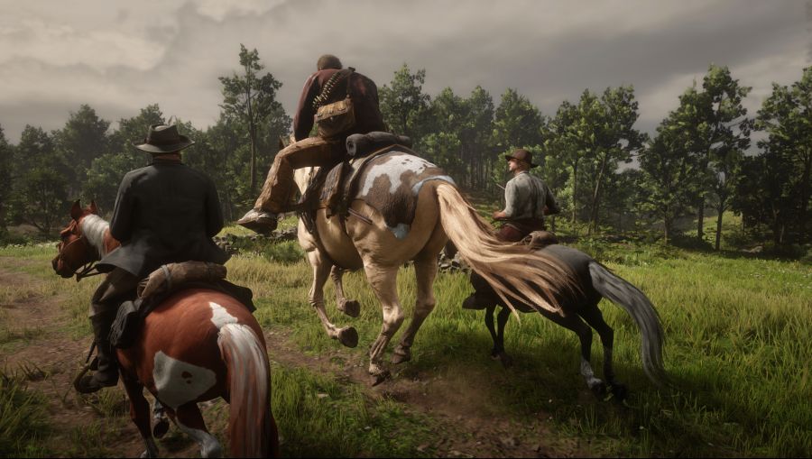 Red Dead Redemption 2 Screenshot 2021.01.18 - 20.08.47.24.png