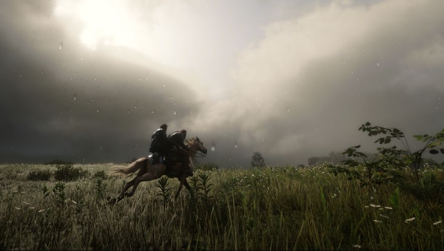 Red Dead Redemption 2 Screenshot 2021.01.18 - 20.35.07.51.png