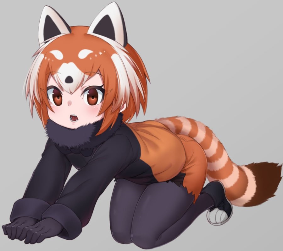 __lesser_panda_kemono_friends_drawn_by_nyifu__be0d5ba86ca4bd5861aa917c05f74071.jpg