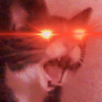 러시아사람이 쓰까 블리얏 이러는데 뭐라는거냐_1.png