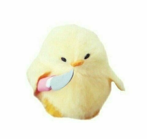 당신은 칼든 병아리의 위협을 받았습니다_1.jpg