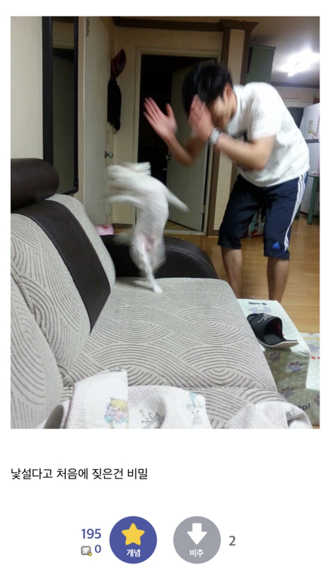 사람들은 잘 모르는 원본짤_jpg_2.jpg