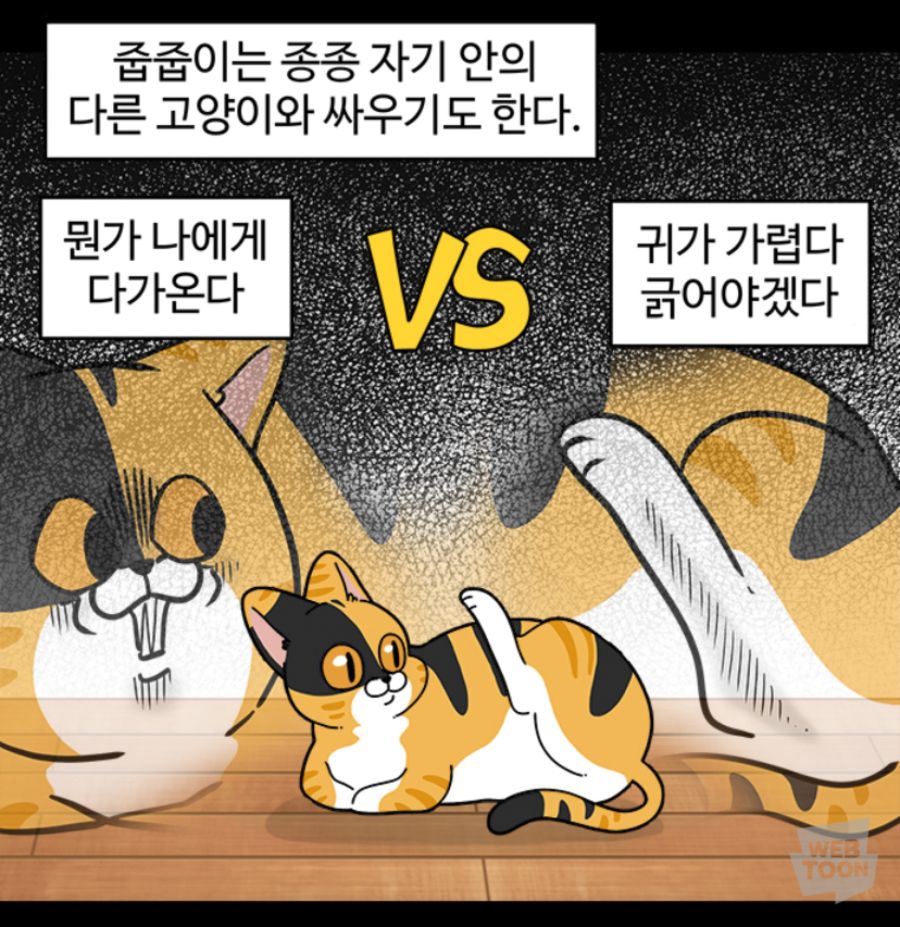 이 이상 다가오면... 적이다. | 유머 게시판 | 루리웹
