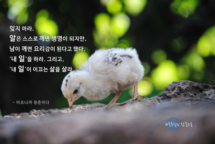 출처가 ㅈ같아서 명언으로 안 보이고 ㅈ같은 말 | (백업)유머 게시판(2020-2021) 출처가 ㅈ같아서 명언으로 안 보이고 ㅈ같은 말 | (백업)... 