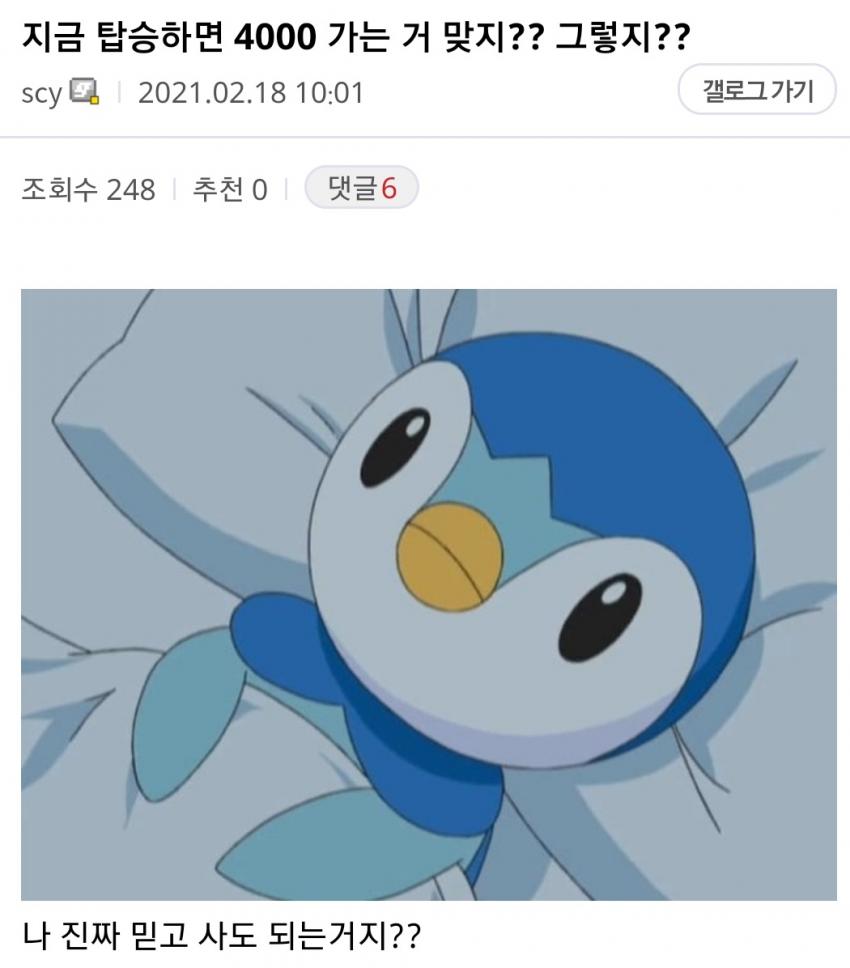 돈 벌러온 코린이의 최후