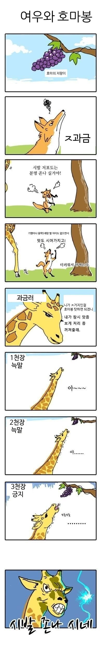 여우와 호마.jpg