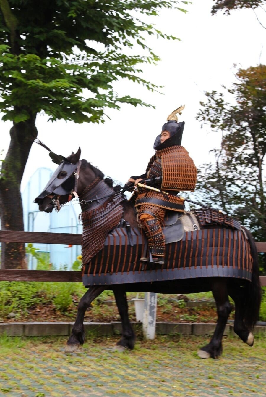 가야의 개마무사 갑옷 복원.jpg_1.jpeg