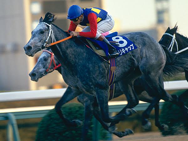 말딸) 일본 경마 역사상 최고의 스토리는 오구리캡 아닐까?_1.jpg