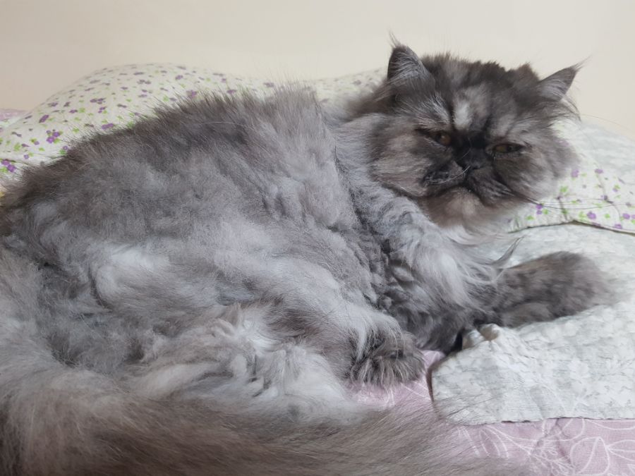 대충 무슨무슨법 준수한다는 제목_11.jpg