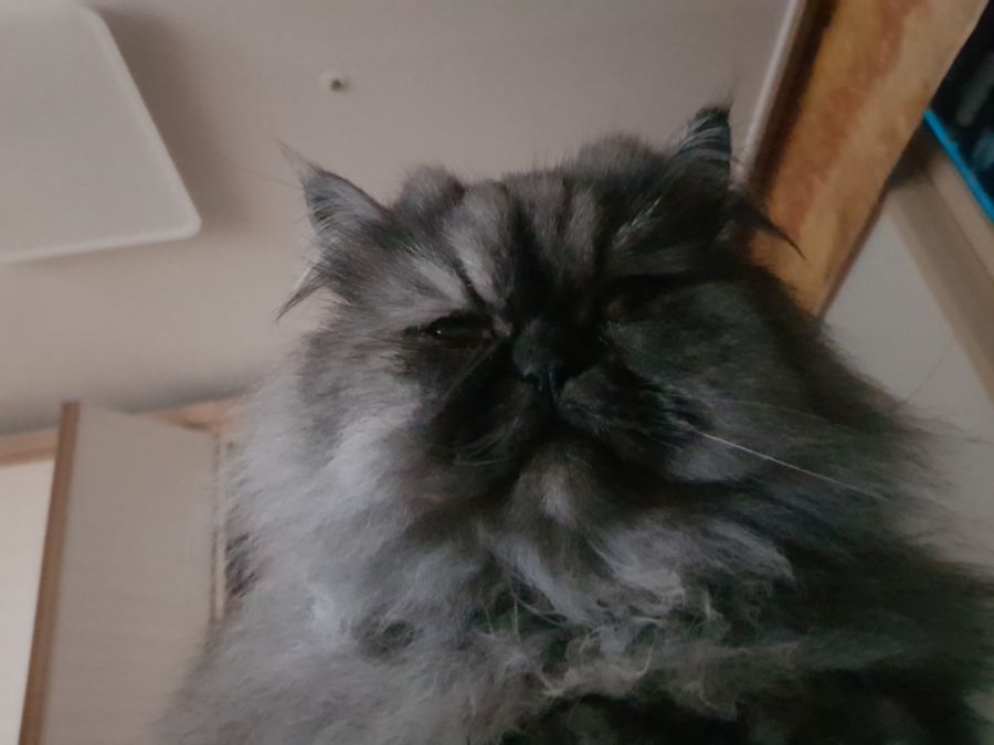 대충 무슨무슨법 준수한다는 제목_22.jpg