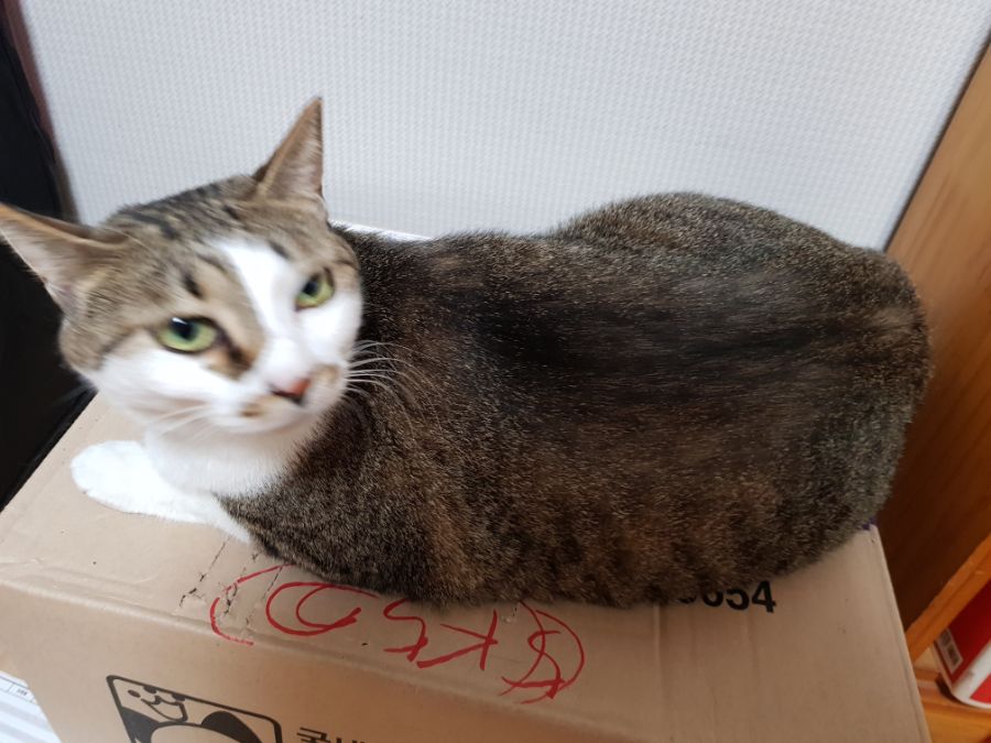 대충 무슨무슨법 준수한다는 제목_3.jpg