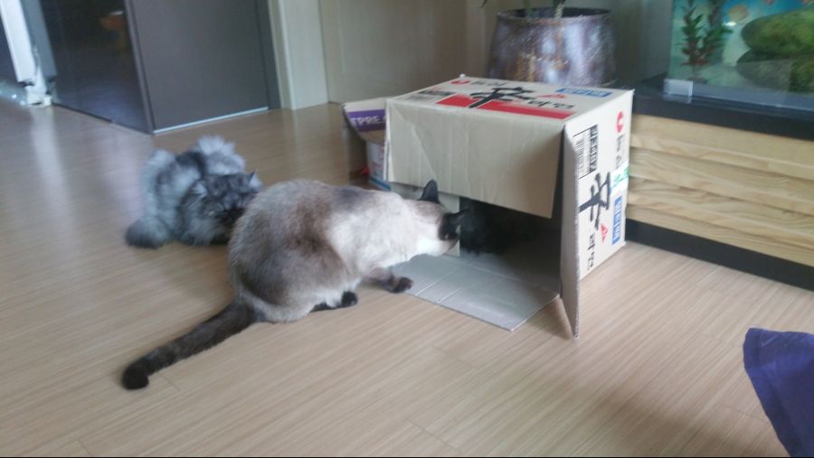 대충 무슨무슨법 준수한다는 제목_4.jpg