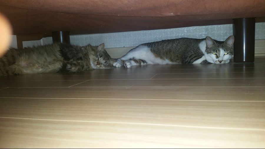 대충 무슨무슨법 준수한다는 제목_5.jpg