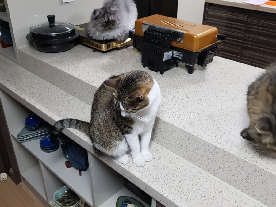 대충 무슨무슨법 준수한다는 제목_6.jpg